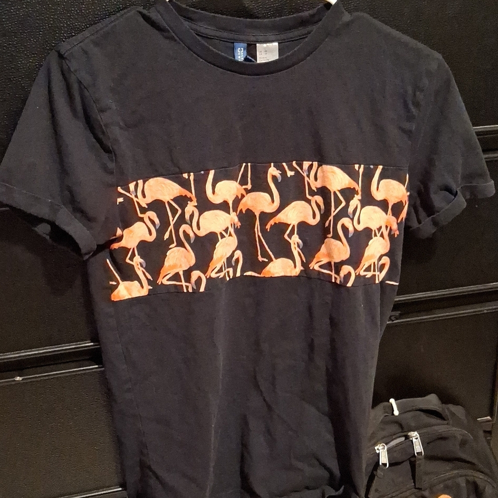 Mens or Gender Netrual Divided Flamingo Tee